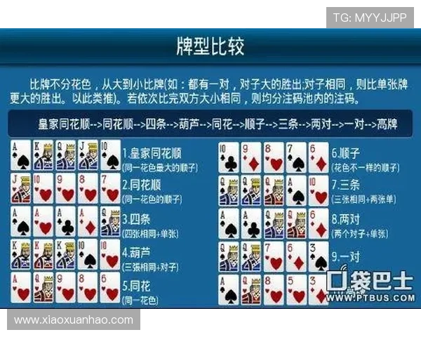 免费德州扑扑克游戏攻略大全，帮助新手快速掌握技巧提升胜率