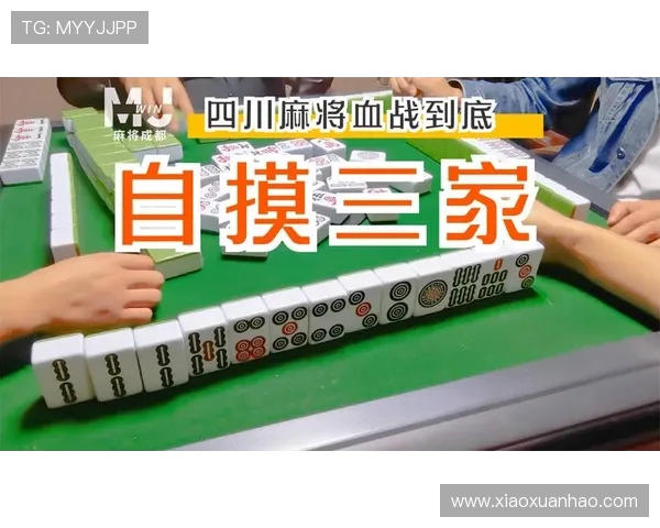 血战到底麻将比赛策略分析让你在对局中占据优势位置