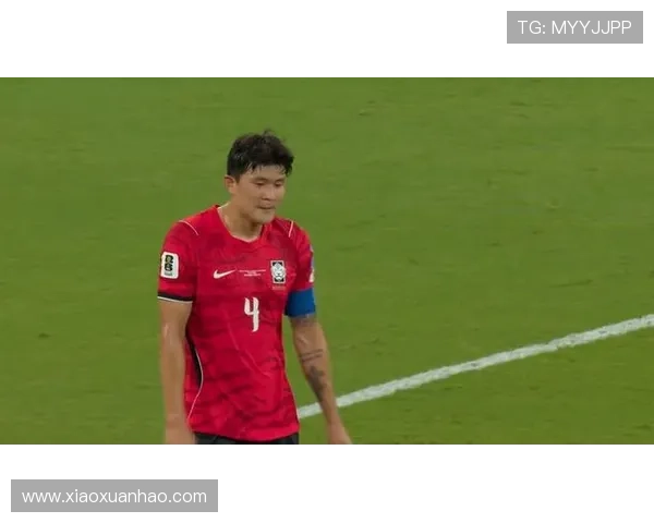 南非对韩国比赛中传球成功率分析及其对比赛结果的影响详解